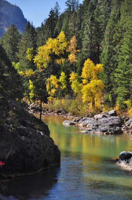 the scenery along the Animas River